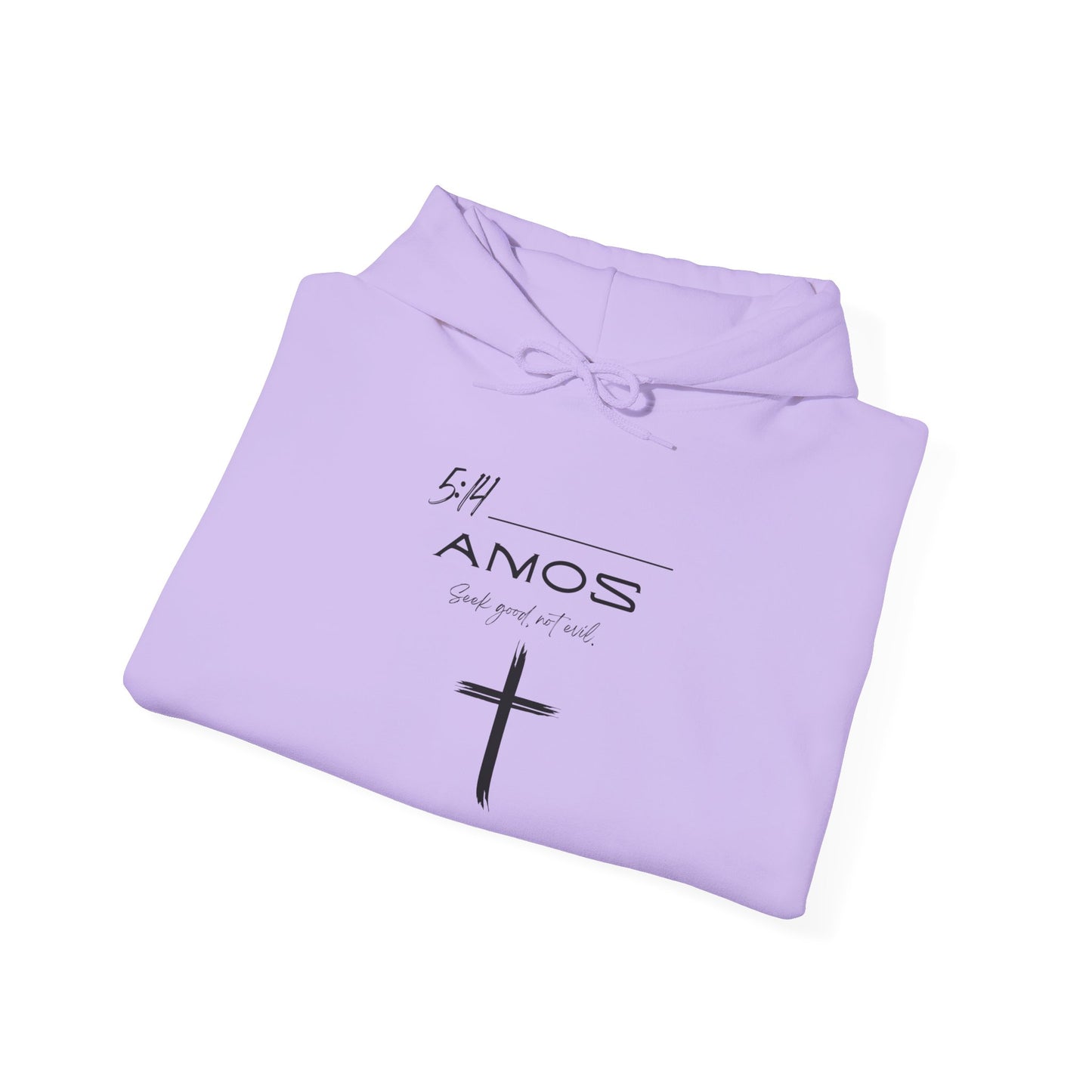 Amos 5:14 w/ Full Scripture on Back Unisex Heavy Blend™ Hooded Sweatshirt