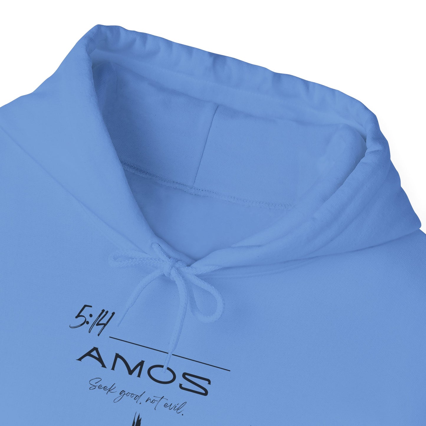 Amos 5:14 w/ Full Scripture on Back Unisex Heavy Blend™ Hooded Sweatshirt