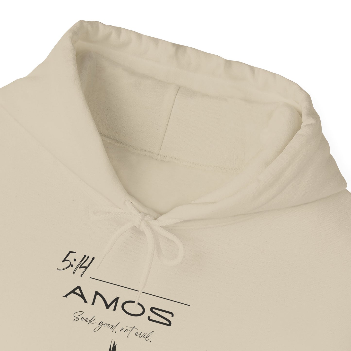 Amos 5:14 w/ Full Scripture on Back Unisex Heavy Blend™ Hooded Sweatshirt