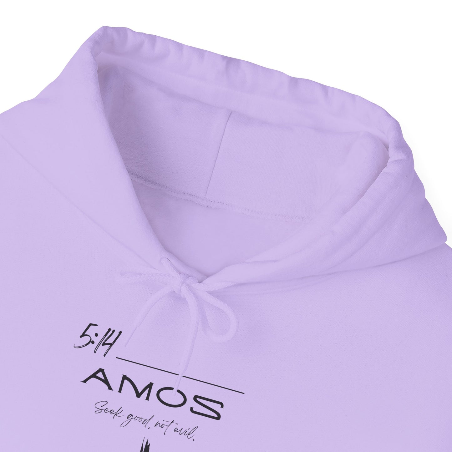 Amos 5:14 w/ Full Scripture on Back Unisex Heavy Blend™ Hooded Sweatshirt